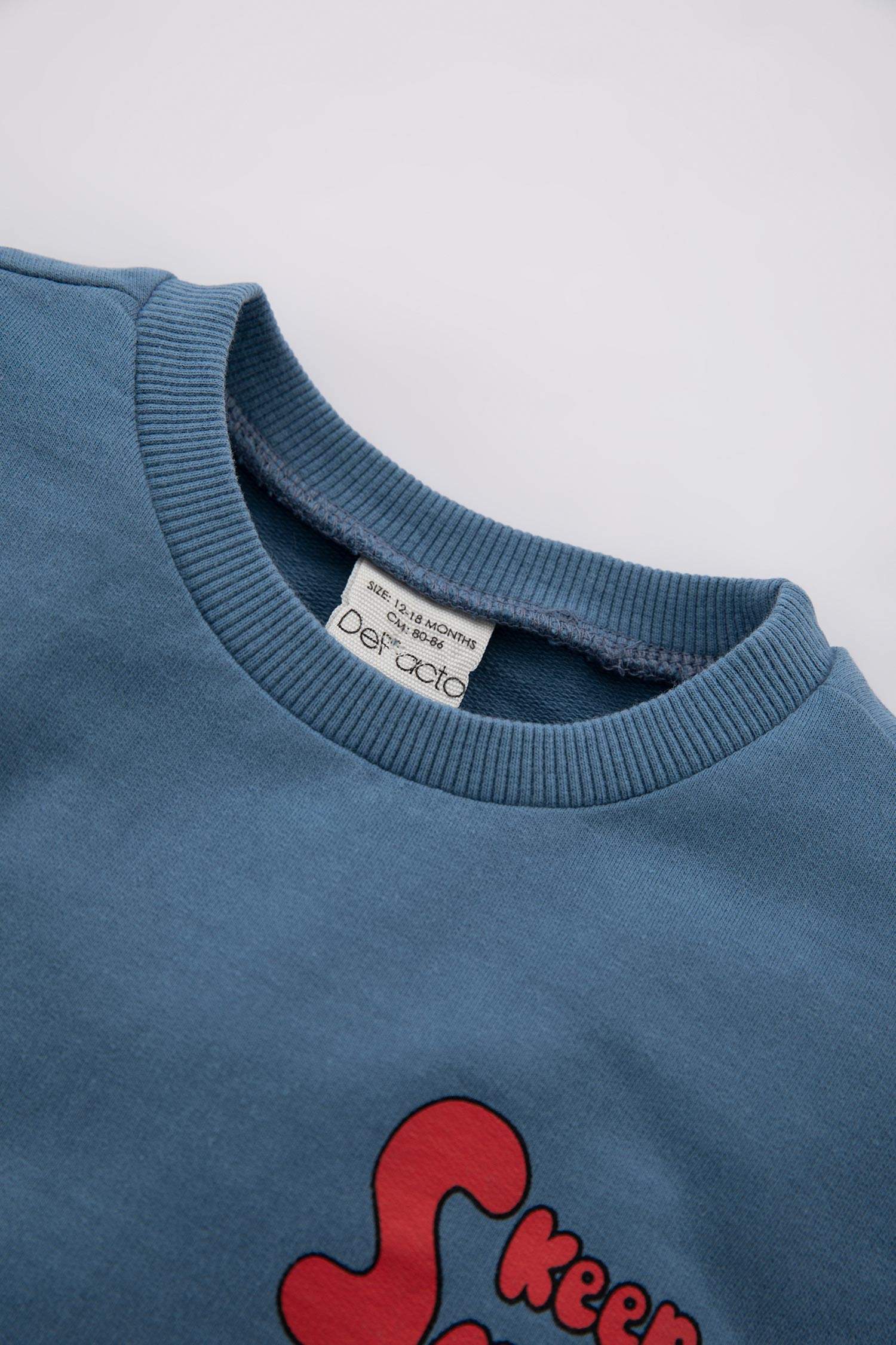 Baby Boy Slogan Printed Sweatshirt Fabric 2-Pack