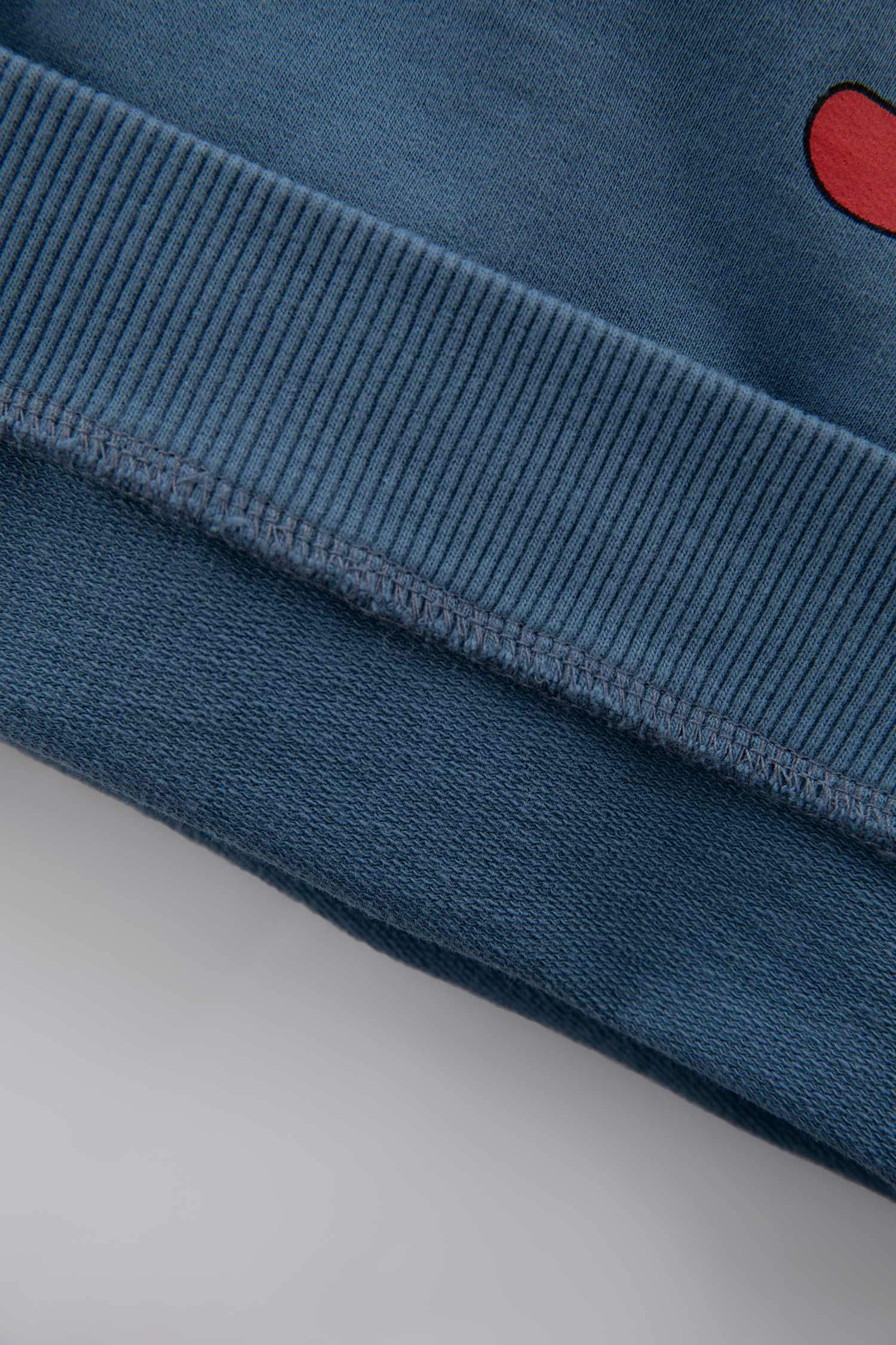 Baby Boy Slogan Printed Sweatshirt Fabric 2-Pack