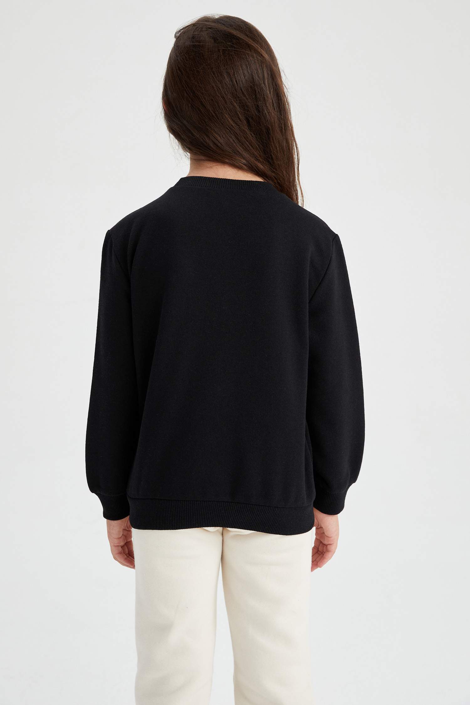 Regular Fit Crew Neck Sweatshirt