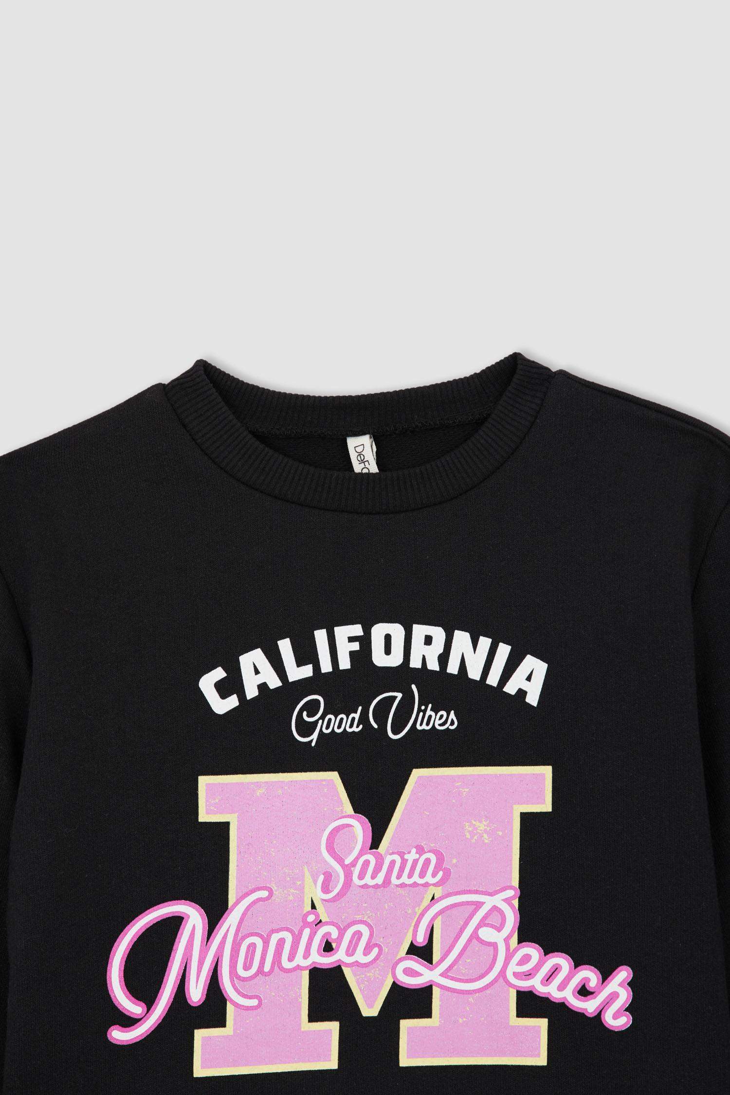 Regular Fit Crew Neck Sweatshirt