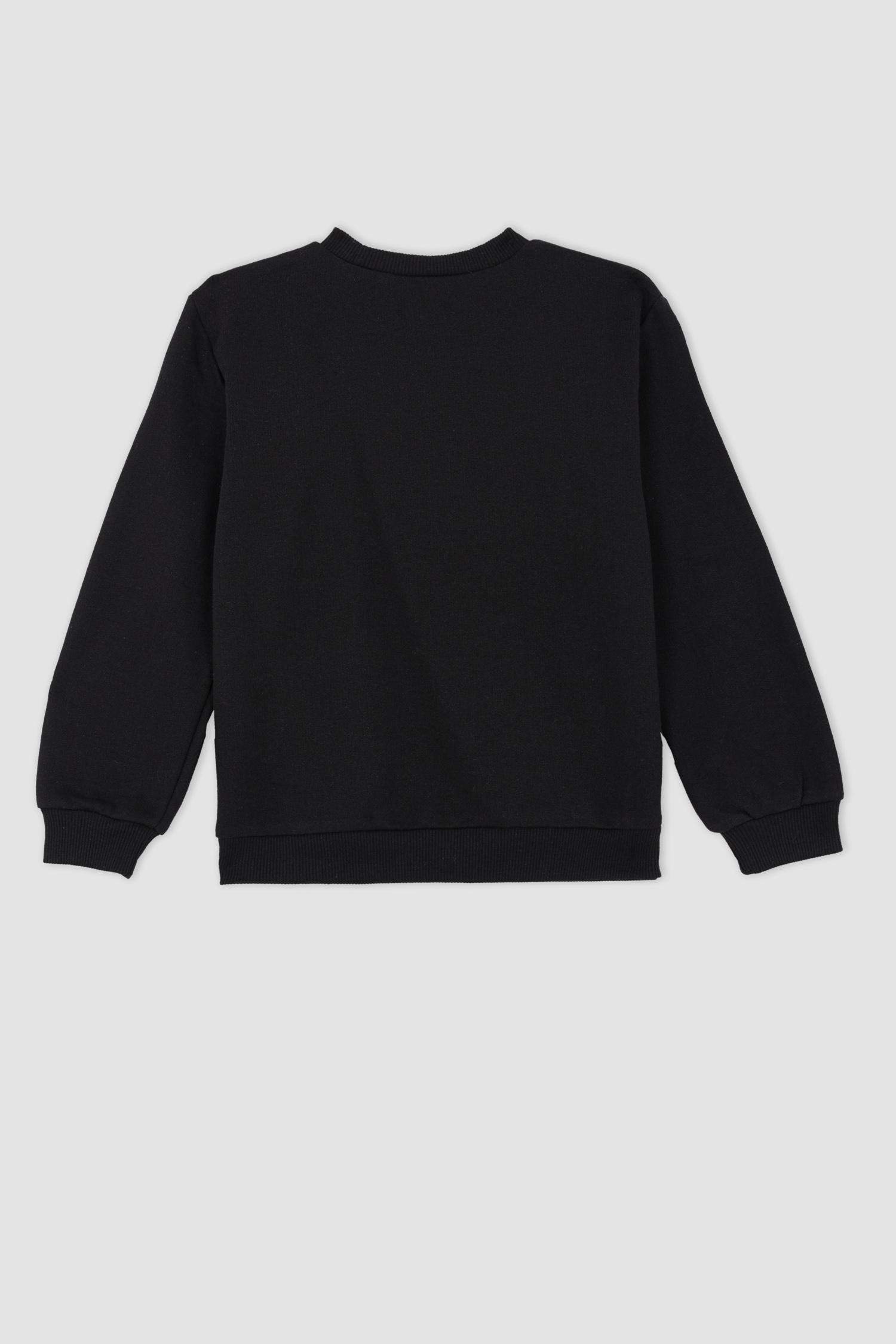 Regular Fit Crew Neck Sweatshirt