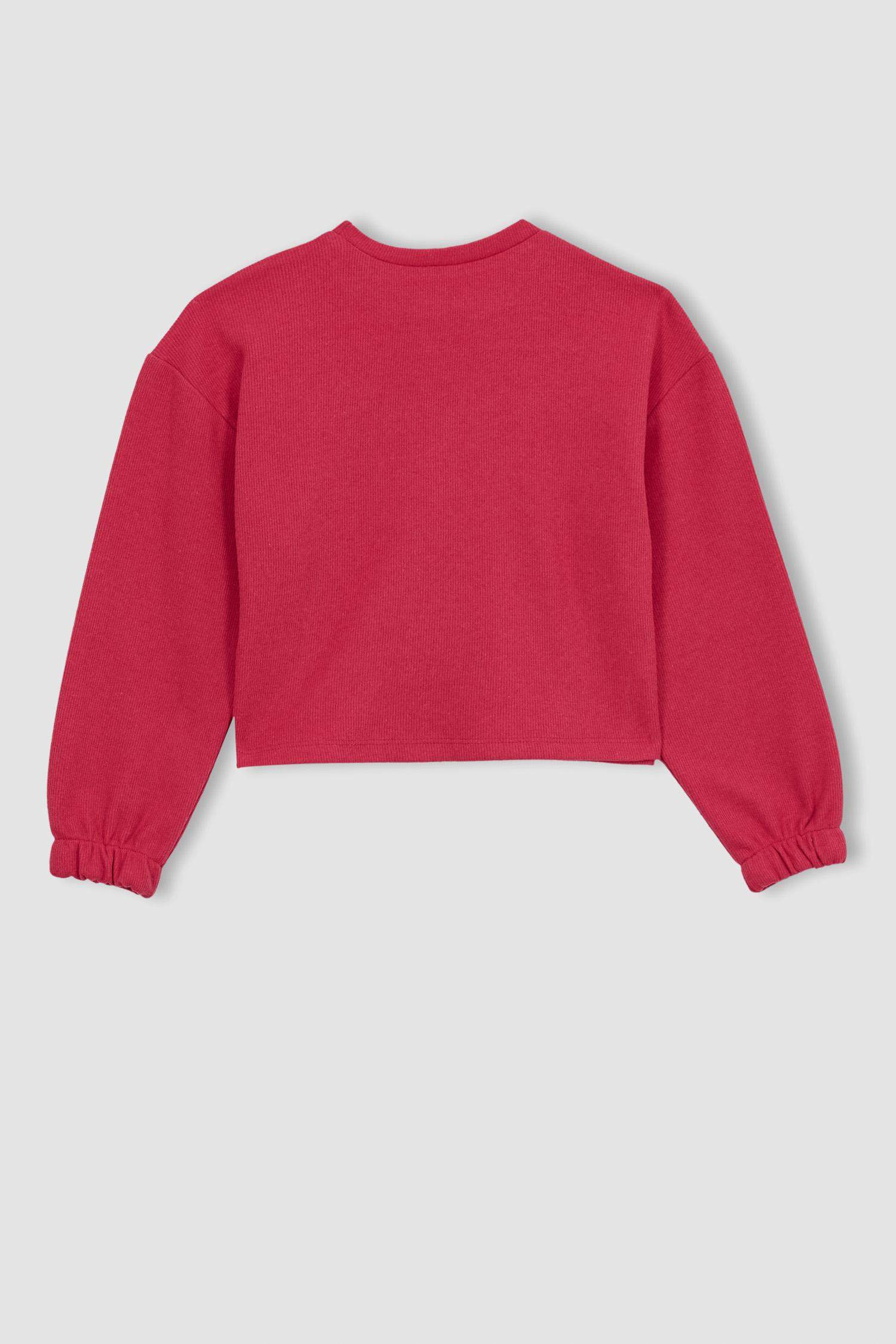 سويت شيرت من قماش ثيسالونيكي بقصة قصيرة ياقة مستديرة