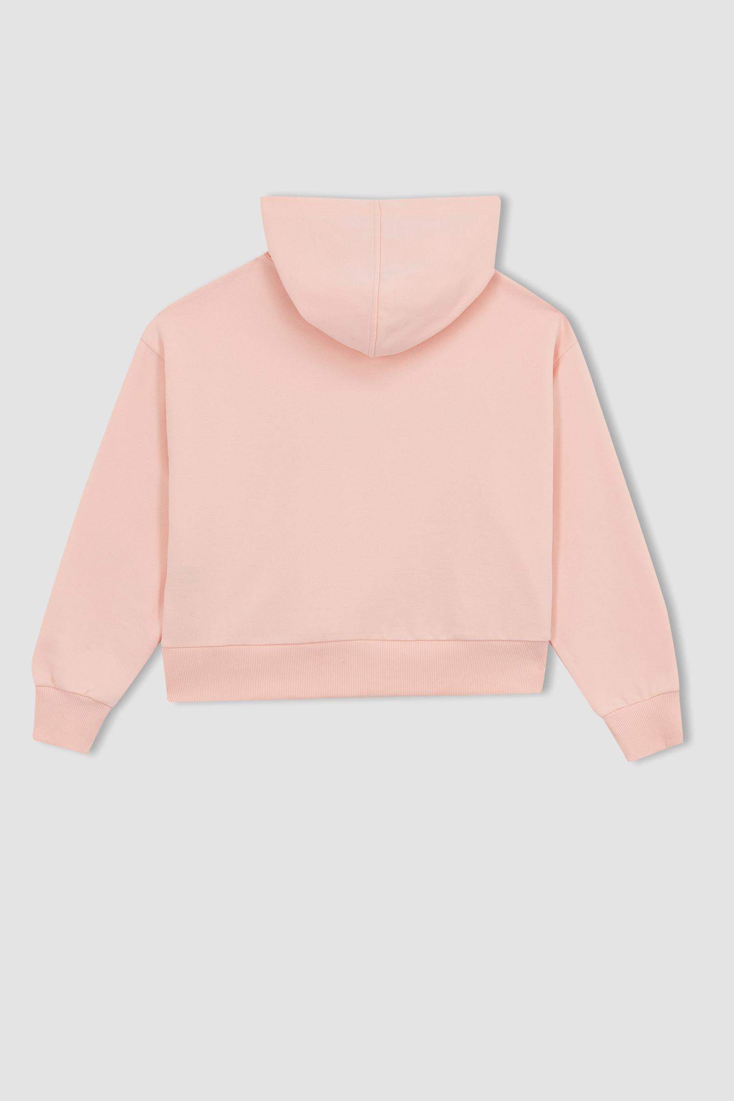 Sweat à capuche NBA New York Knicks de DeFactoFit pour homme