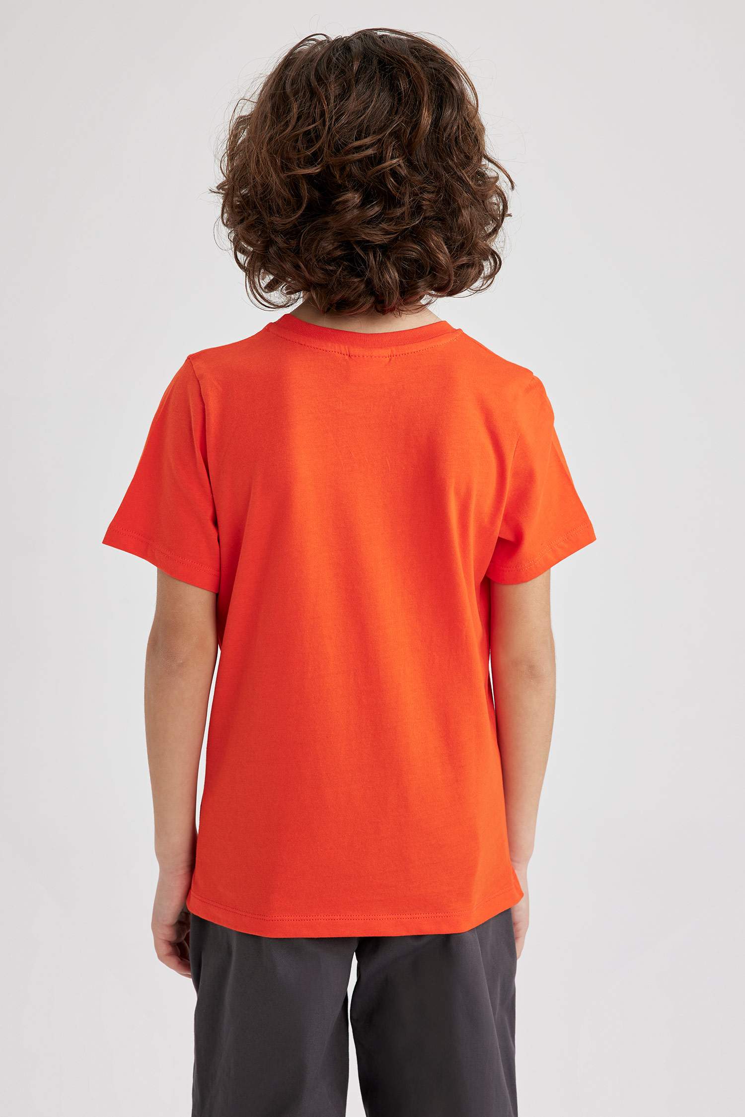 Boy Regular Fit Crew Neck Printed Short Sleeve T-Shirt