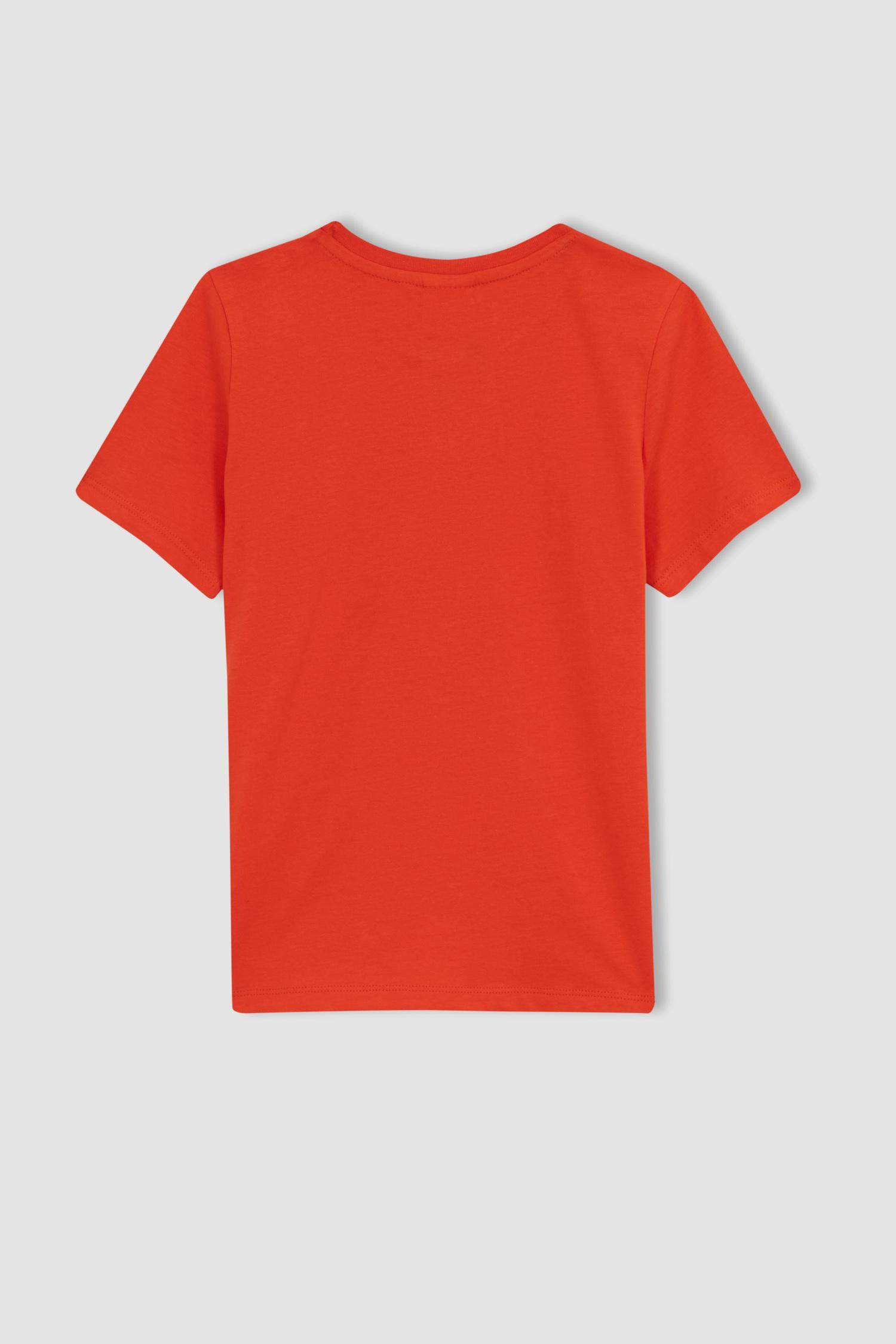 Boy Regular Fit Crew Neck Printed Short Sleeve T-Shirt