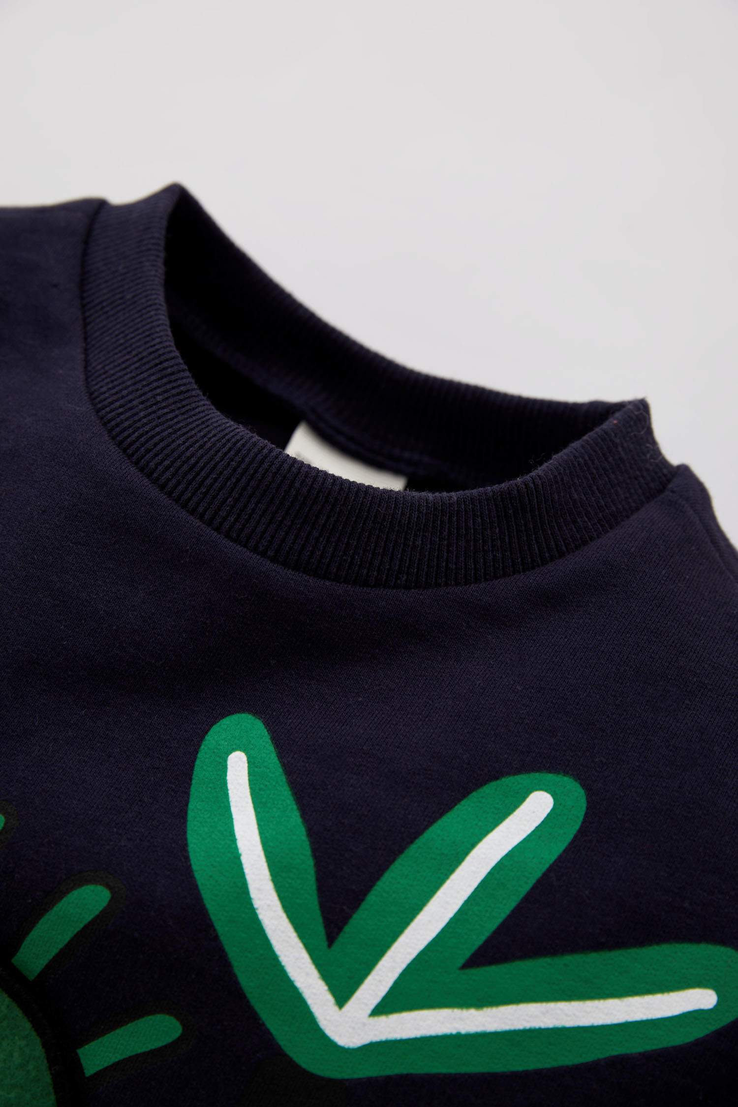 Erkek Bebek Dinozor Baskılı Sweatshirt