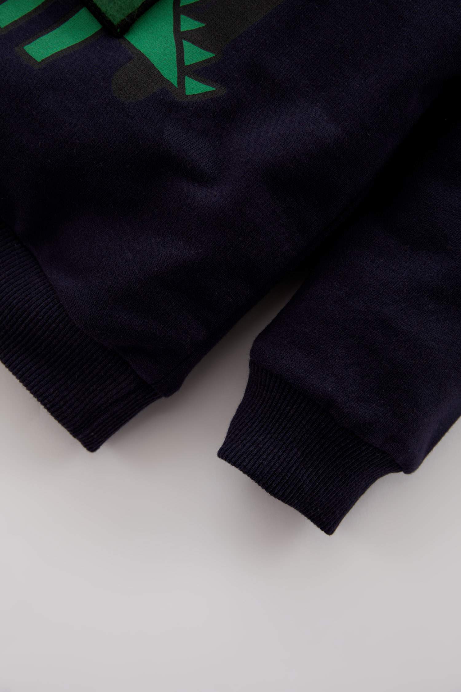 Erkek Bebek Dinozor Baskılı Sweatshirt