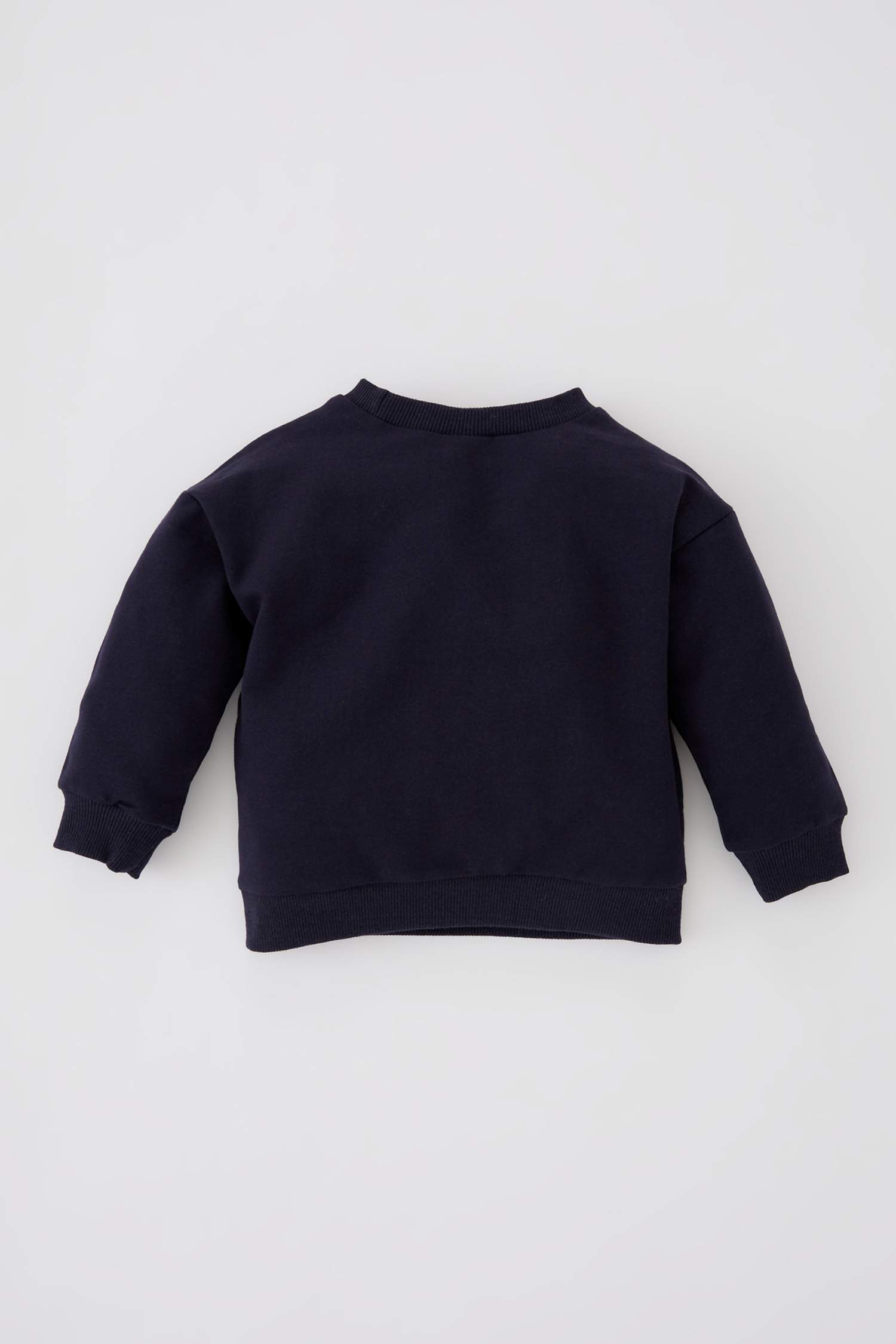 Erkek Bebek Dinozor Baskılı Sweatshirt