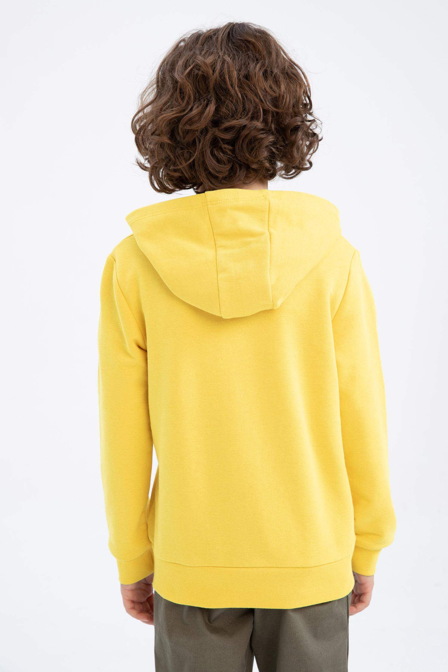 Sweat À Capuche Regular Fit Pour Garçon