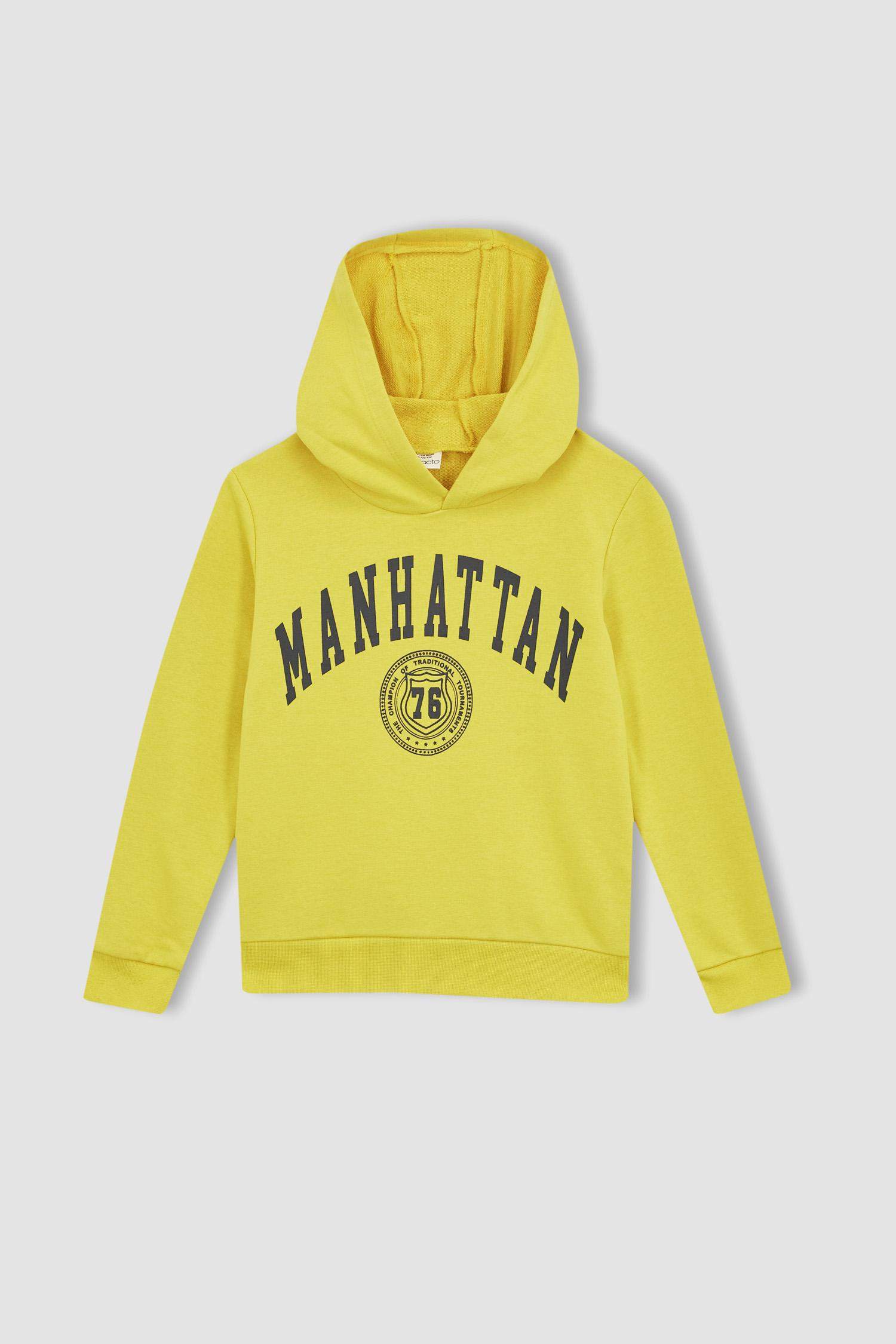 Sweat À Capuche Regular Fit Pour Garçon