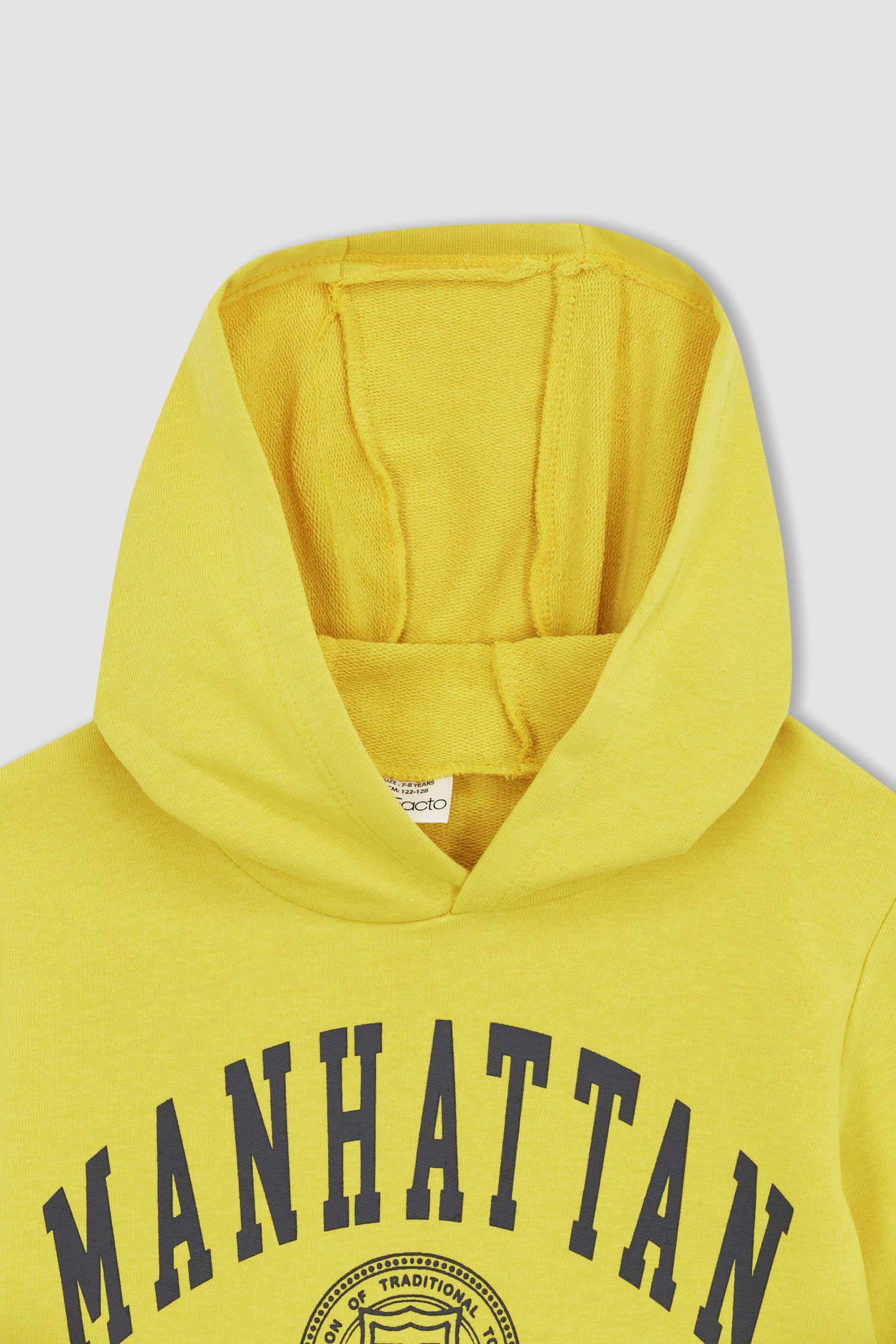 Sweat À Capuche Regular Fit Pour Garçon