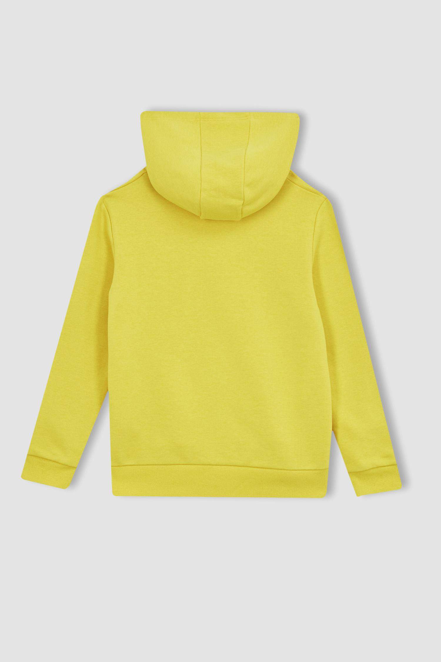 Sweat À Capuche Regular Fit Pour Garçon