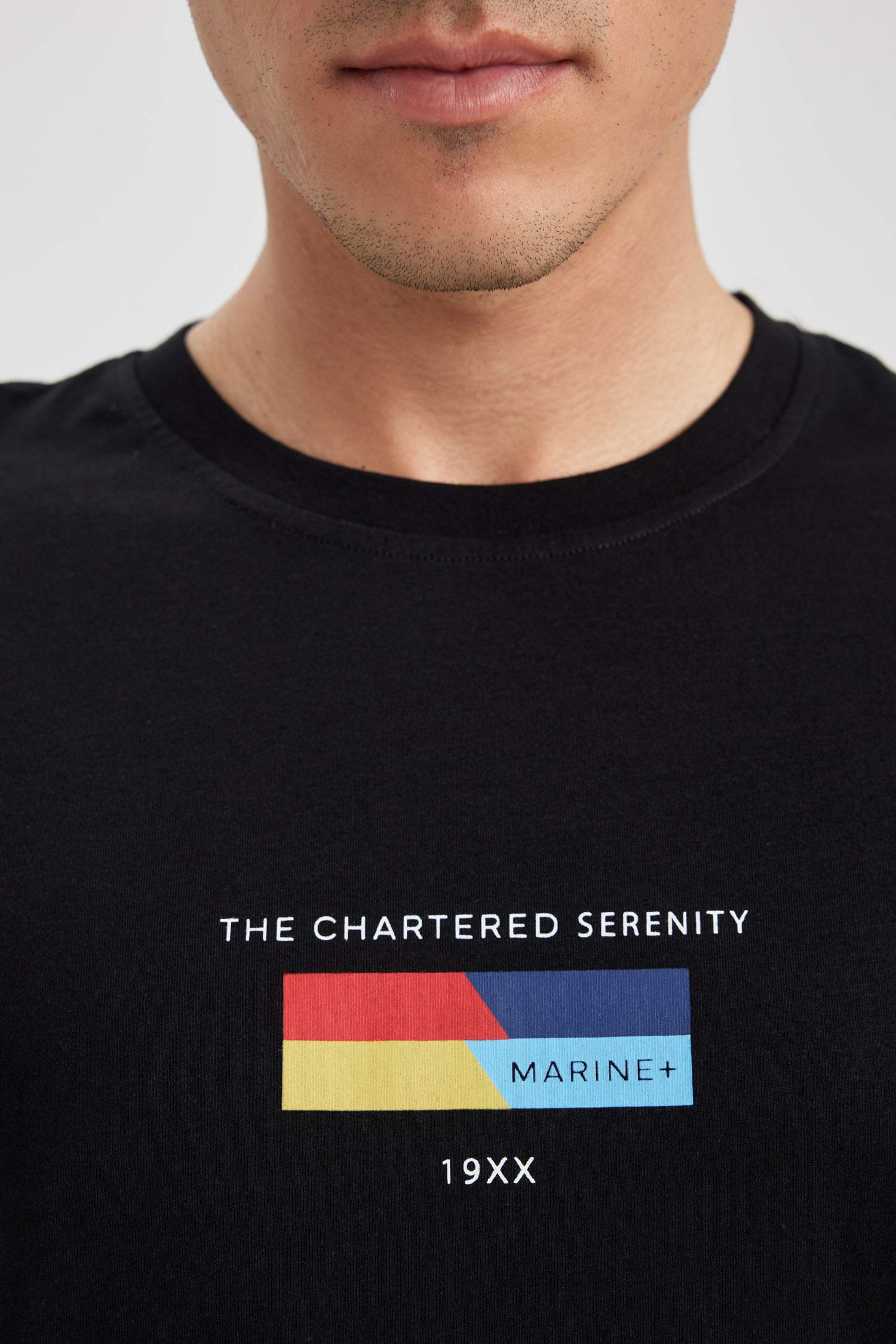 Футболка стандартного кроя с круглым вырезом и принтом