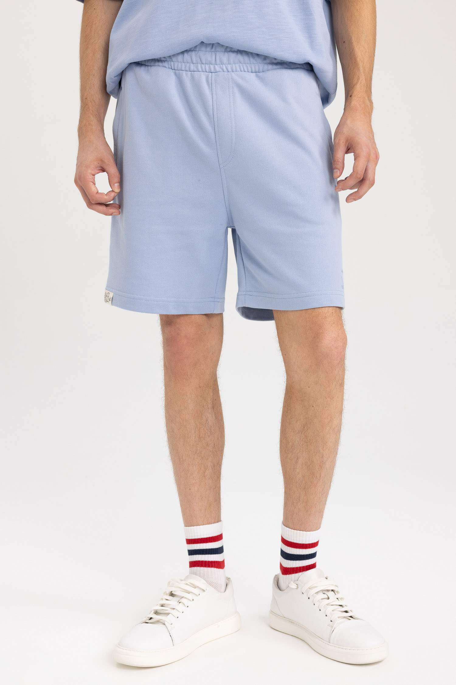 Regular Fit Regular Hem Shorts