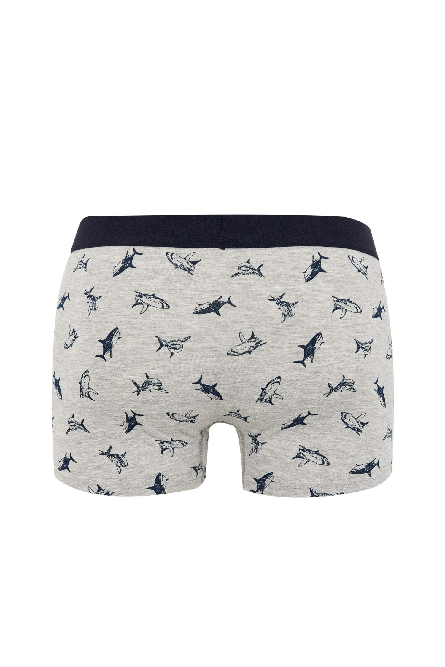 Regular Fit Hayvan Baskılı Boxer