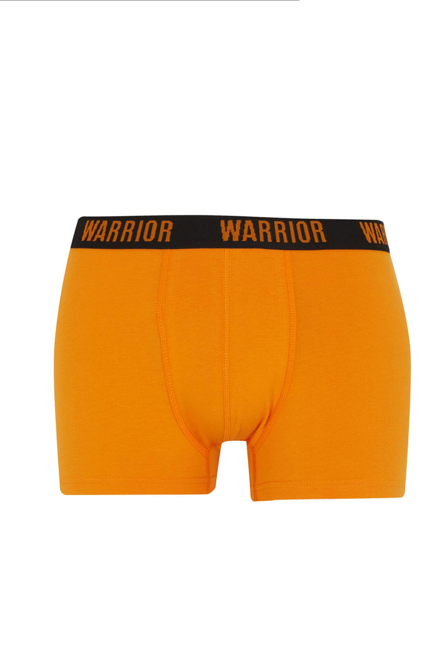 Боксеры стандартного кроя, 3 пары