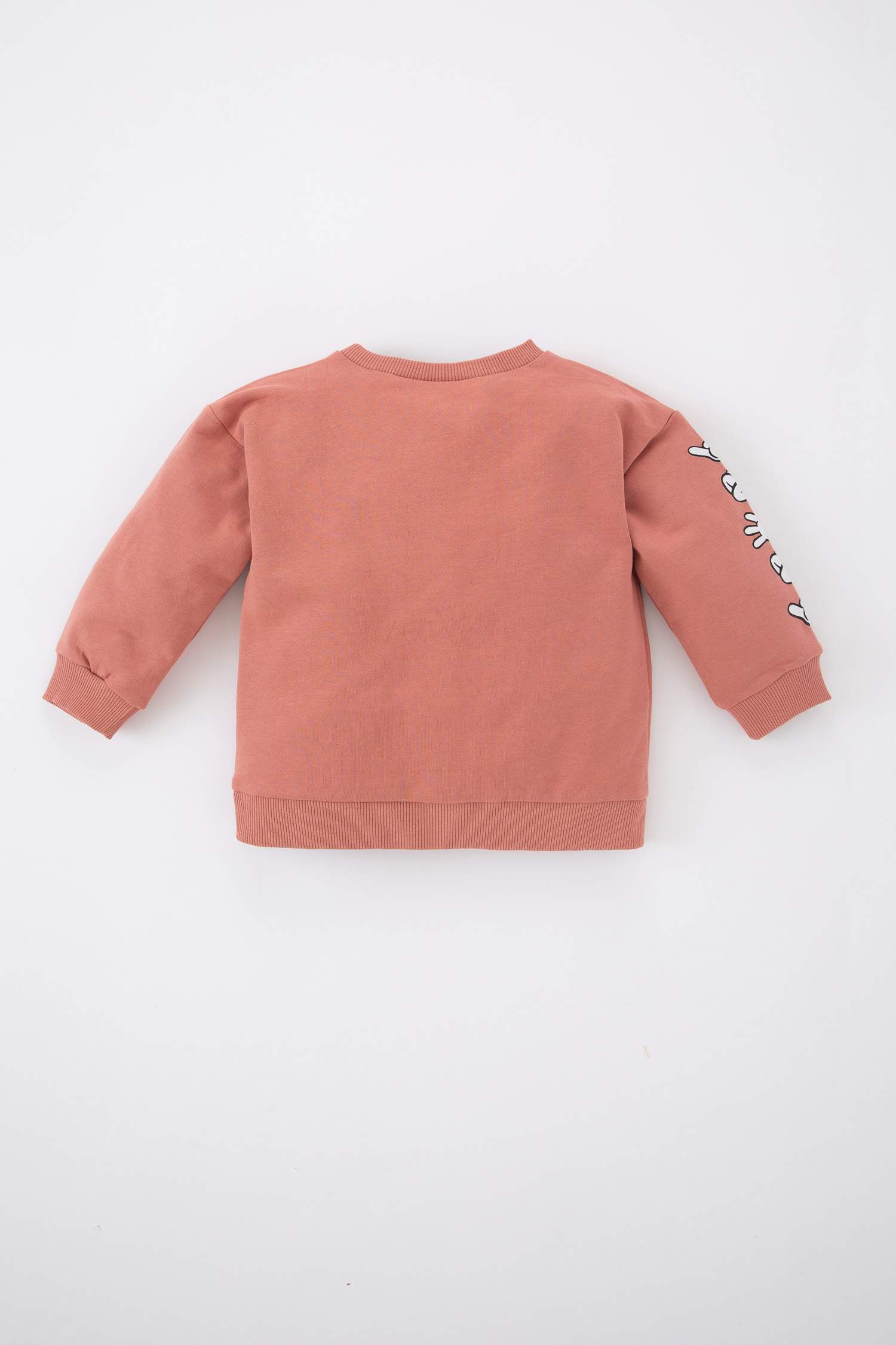 Bordeaux BABY BOY Baby Boy Disney Mickey & Minnie Regular Fit