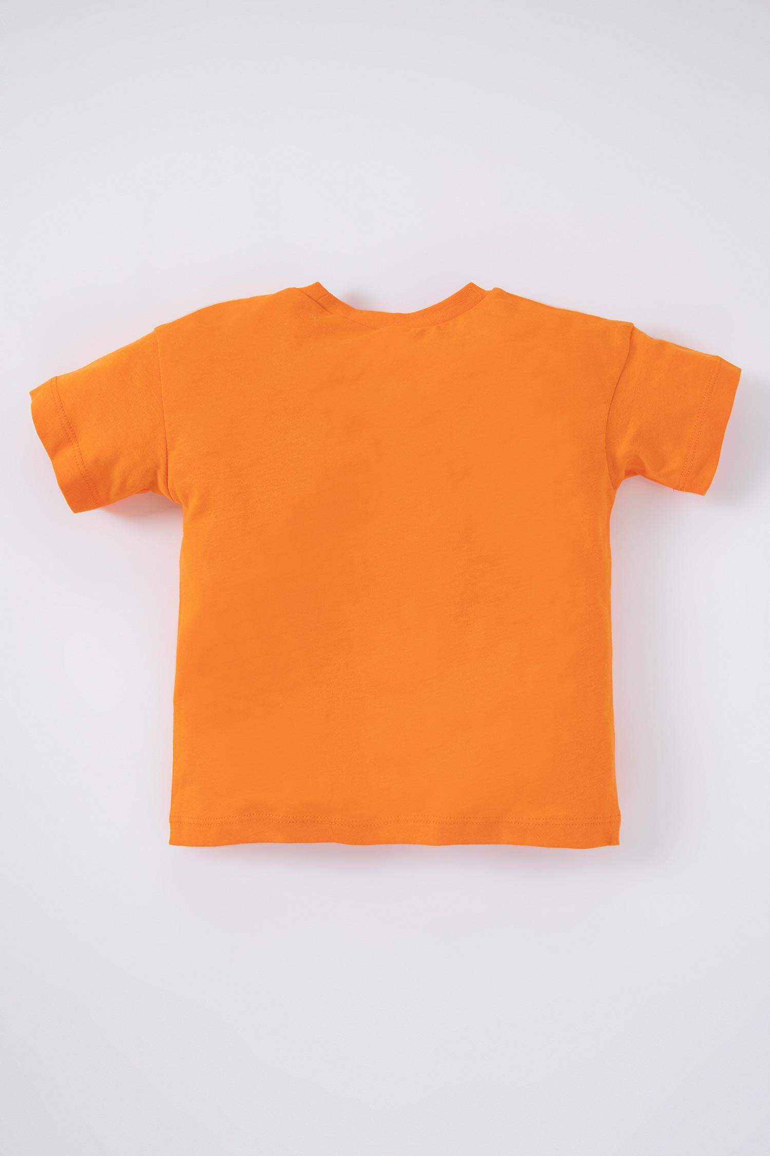 Baby Boy Regular Fit Printed Short Sleeve T-Shirt