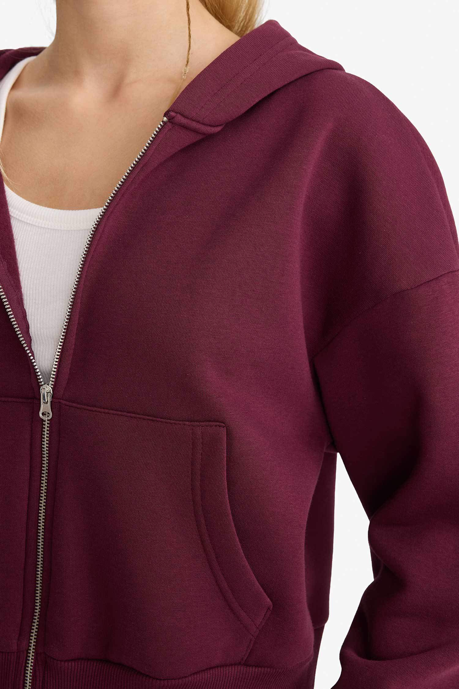 Cropped Fit Hooded Thick Zippered Sweatshirt
