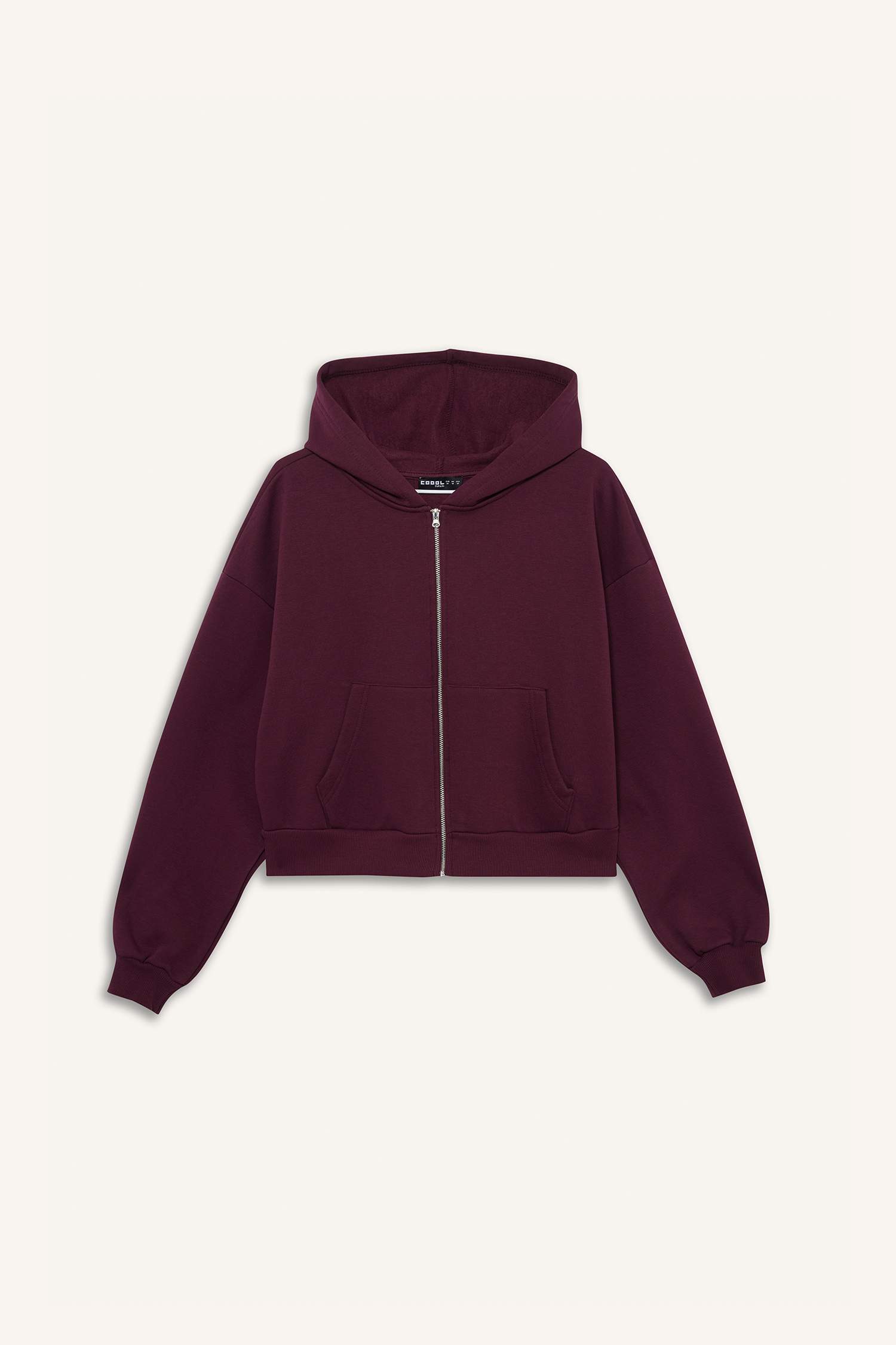 Cropped Fit Hooded Thick Zippered Sweatshirt