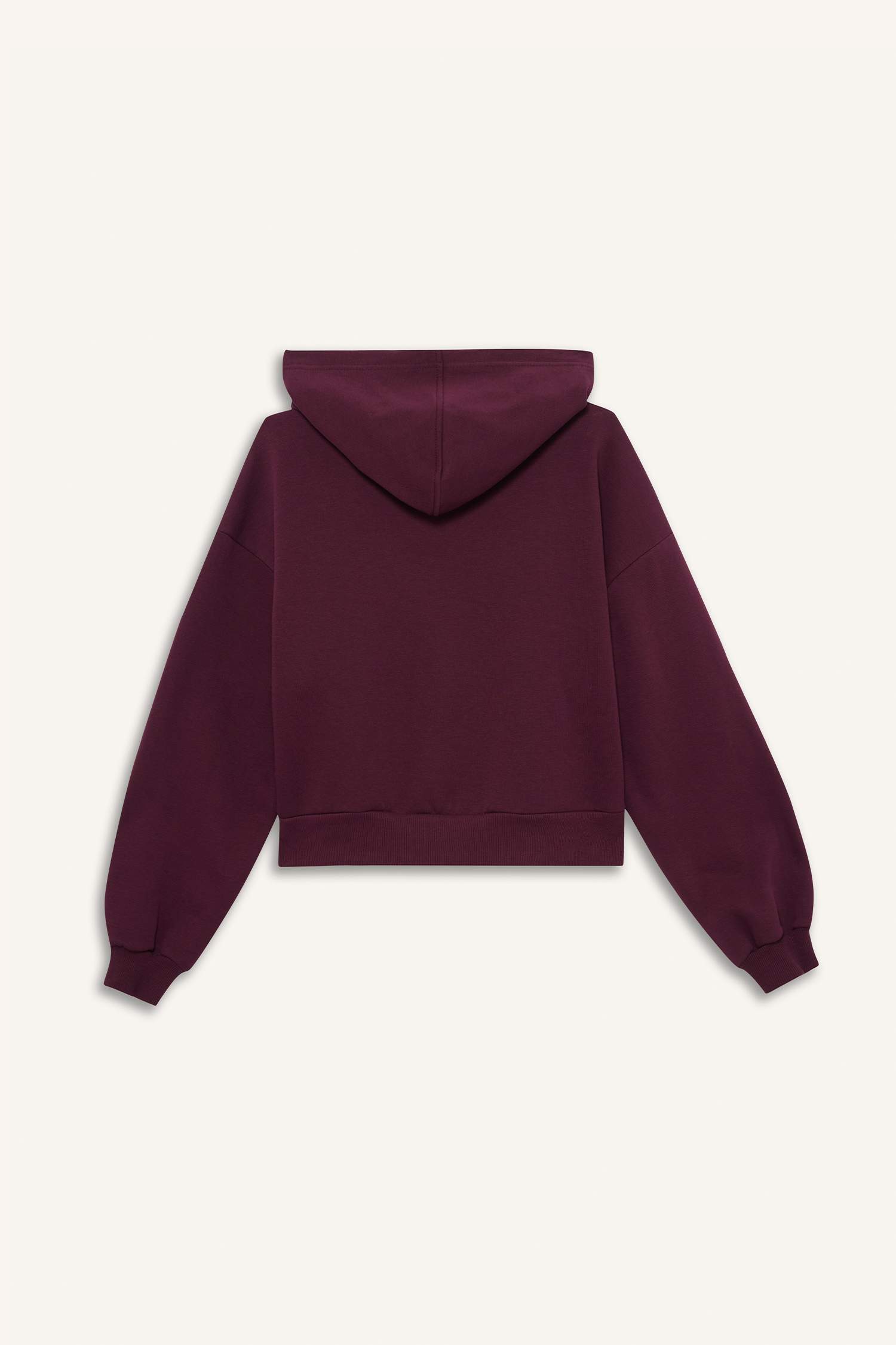 Cropped Fit Hooded Thick Zippered Sweatshirt