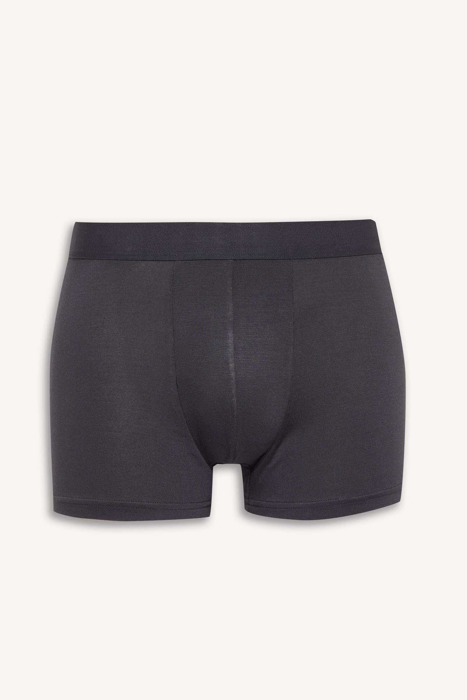 Regular Fit Modal Boxer