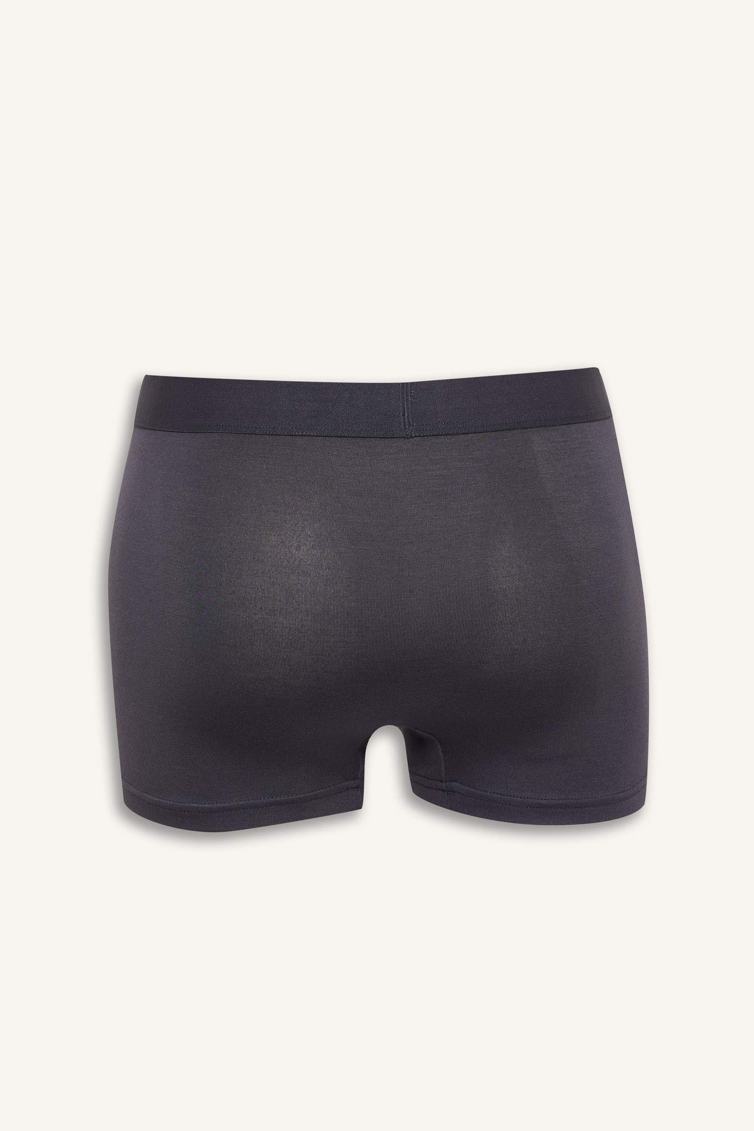 Regular Fit Modal Boxer