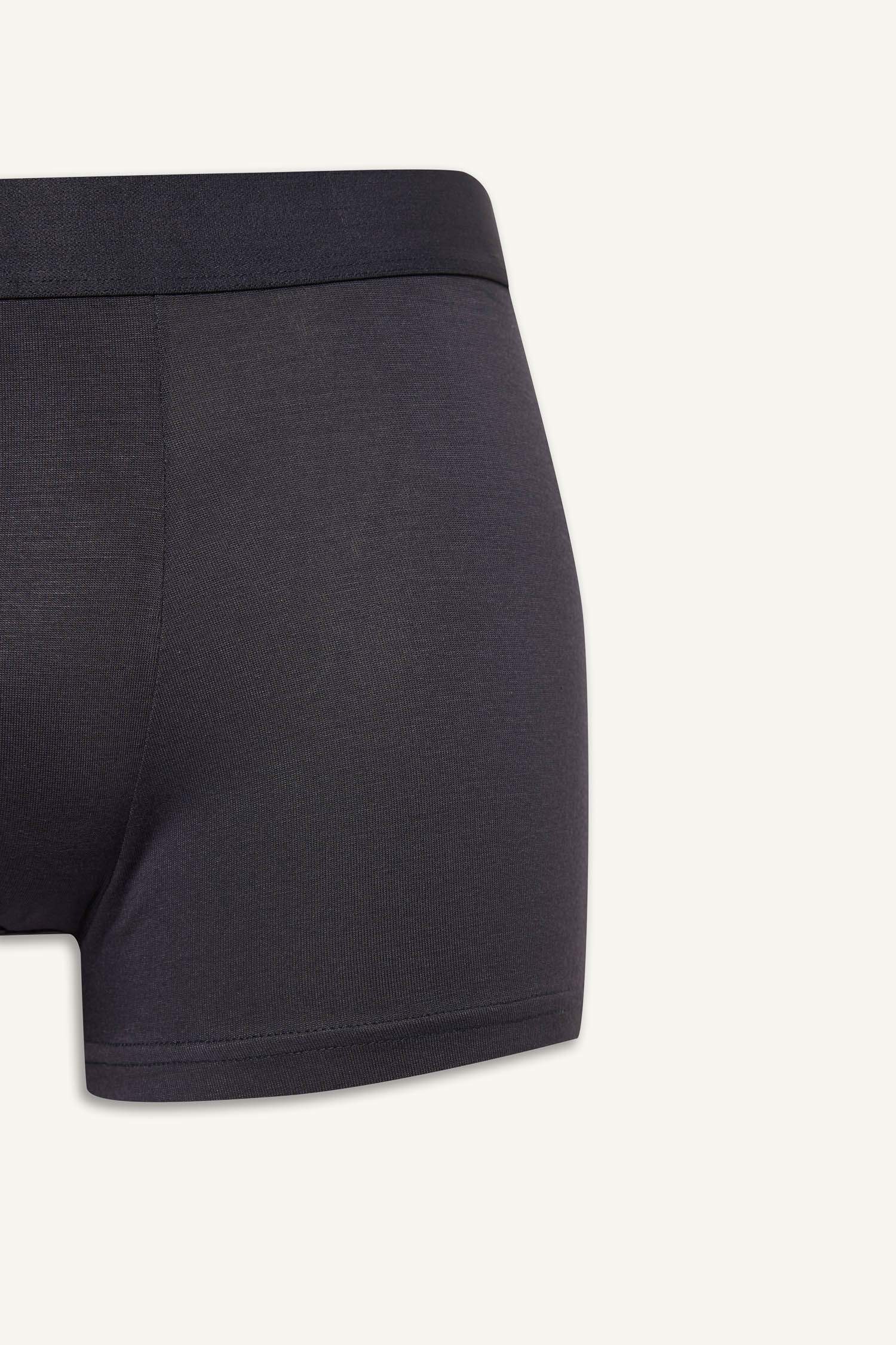 Regular Fit Modal Boxer