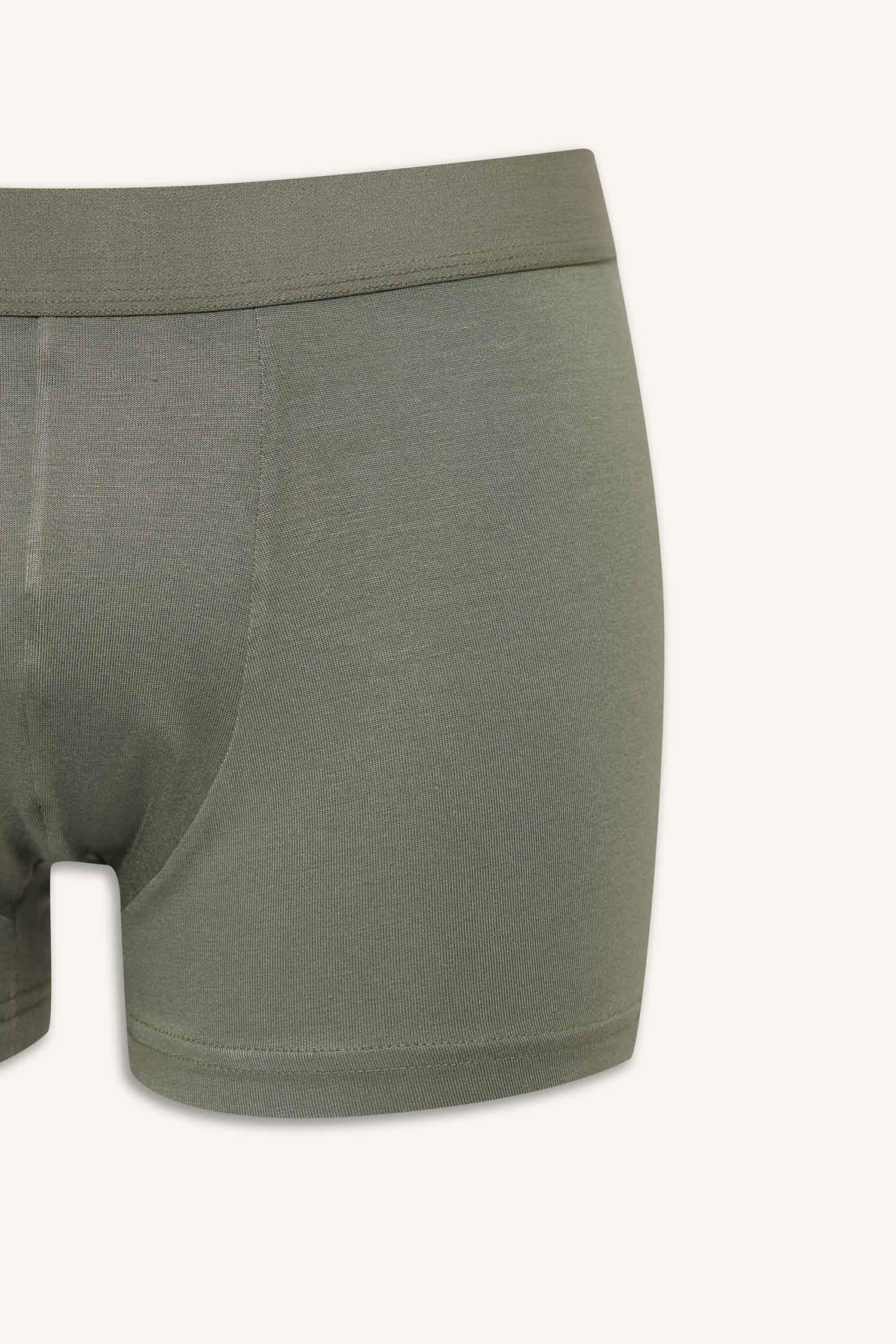 Regular Fit Modal Boxer