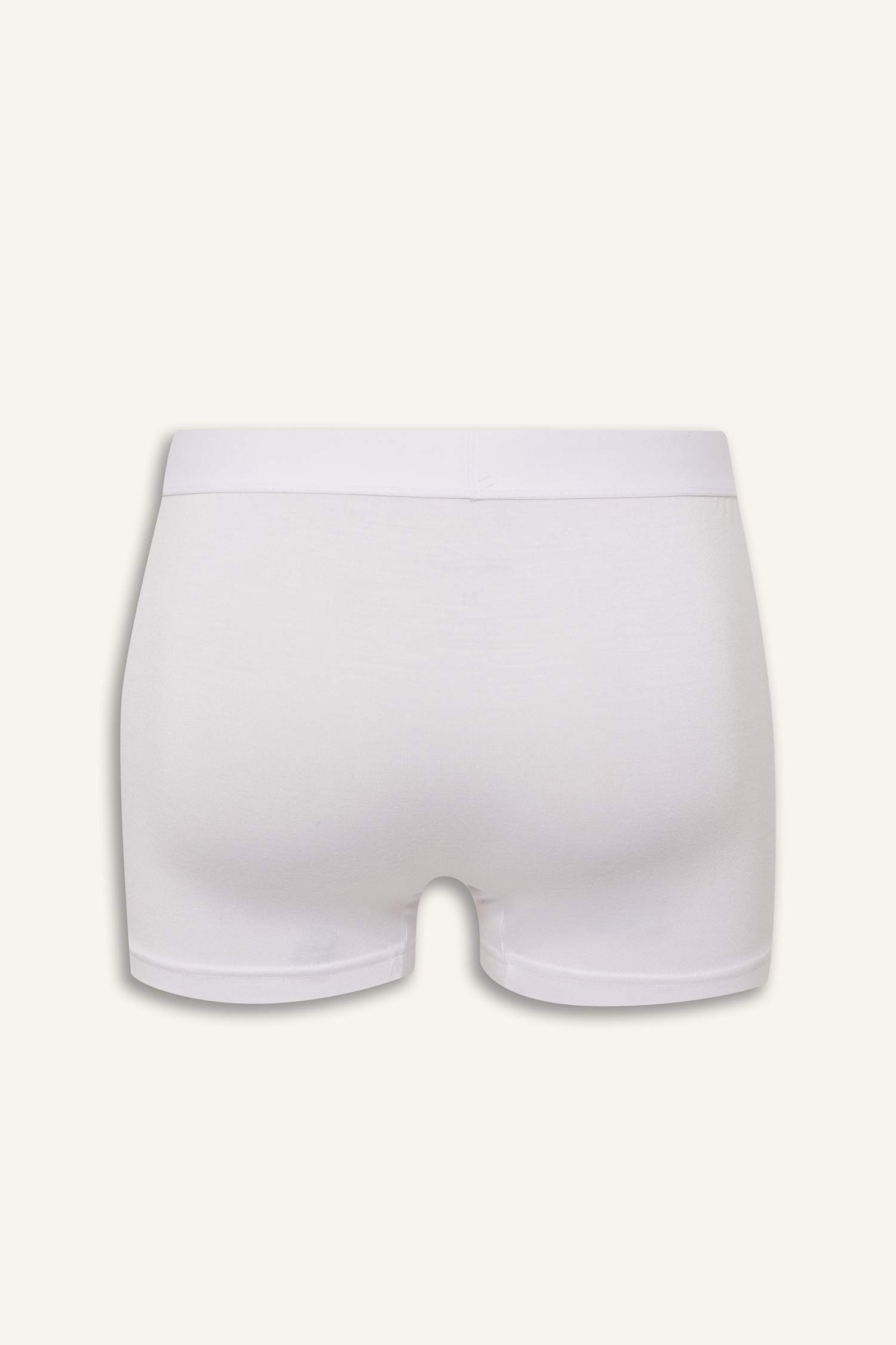 بوكسر بريميوم قصة عادية