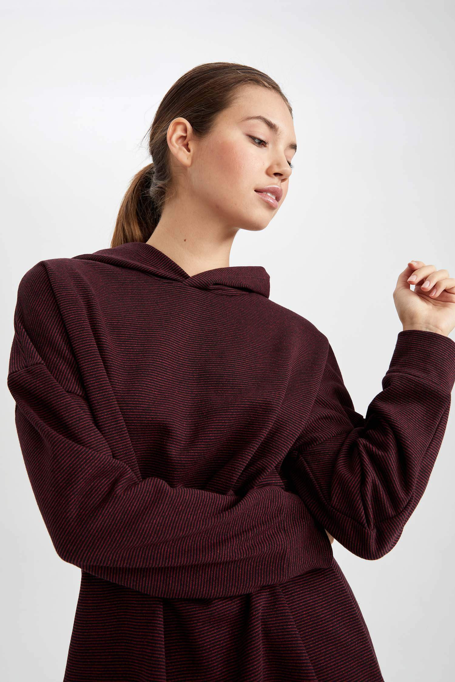 Regular Fit Kapüşonlu Uzun Kollu Sweatshirt Tunik