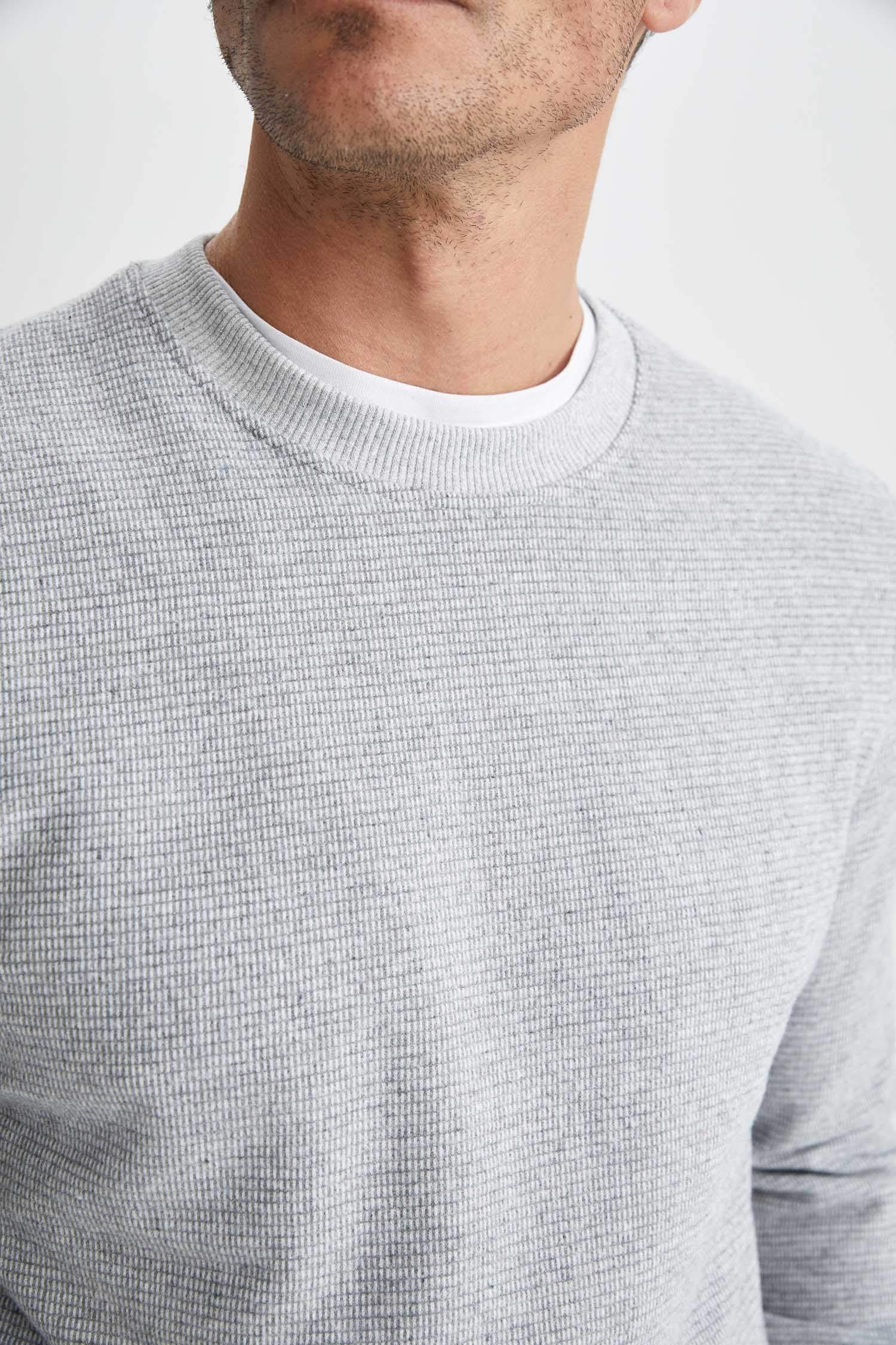 Grey Regular Fit Round Neck Long Sleeves Cotton Blend Men's Sweatshirt by Being Human Clothing