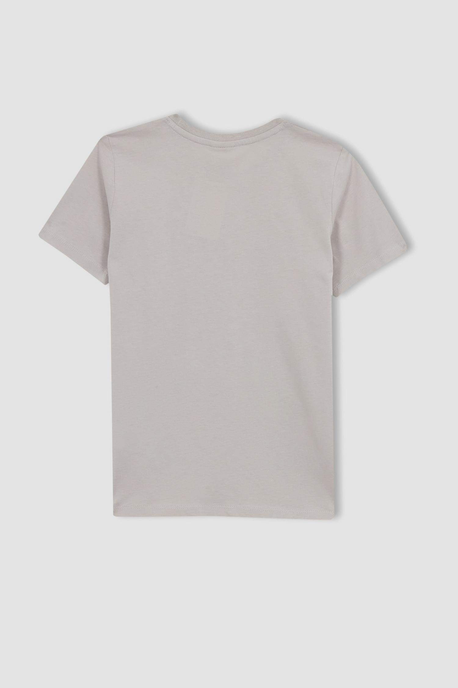 Boy Regular Fit Crew Neck Printed Short Sleeve T-Shirt