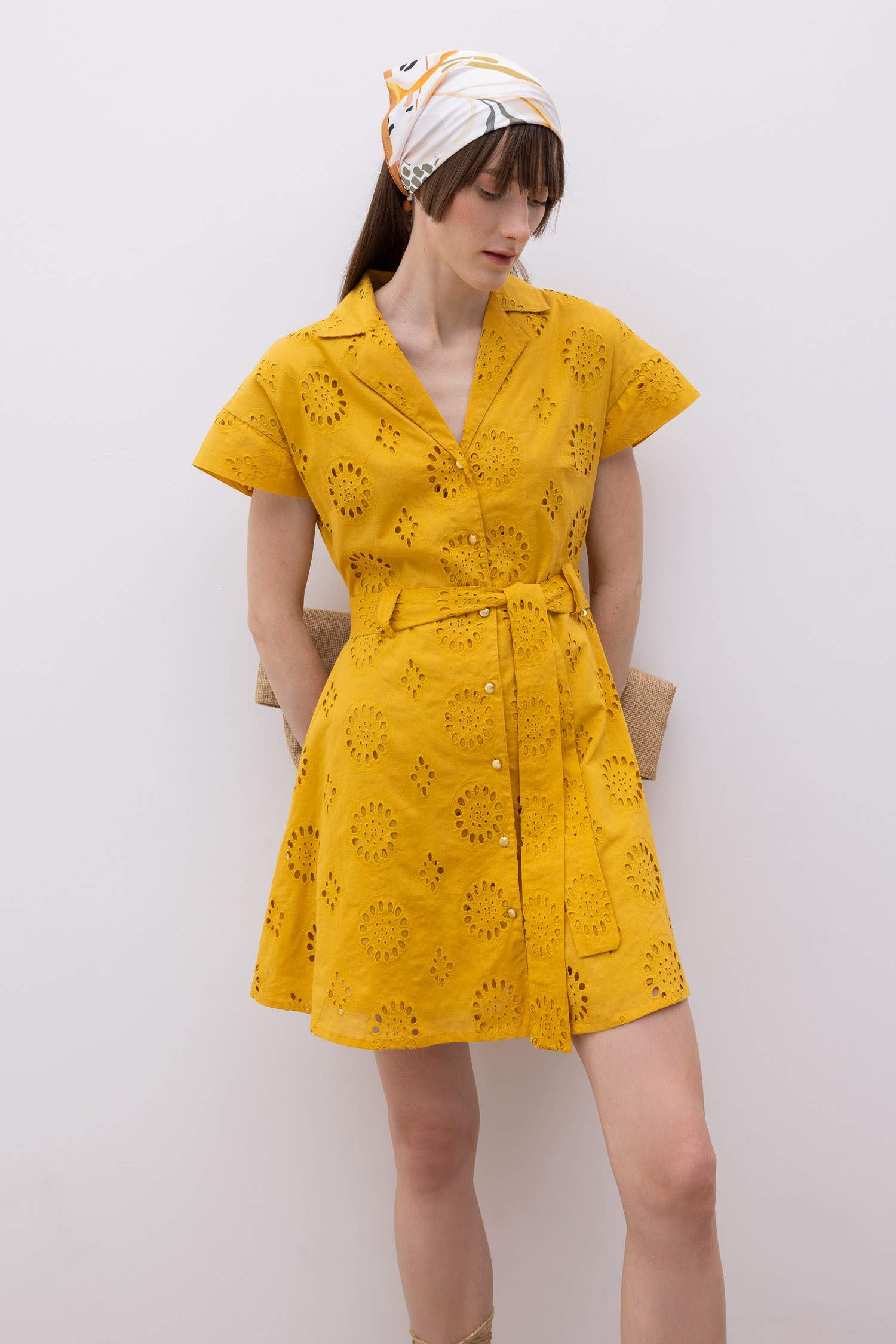 Jacket Collar Embroidery Short Sleeve Mini Dress