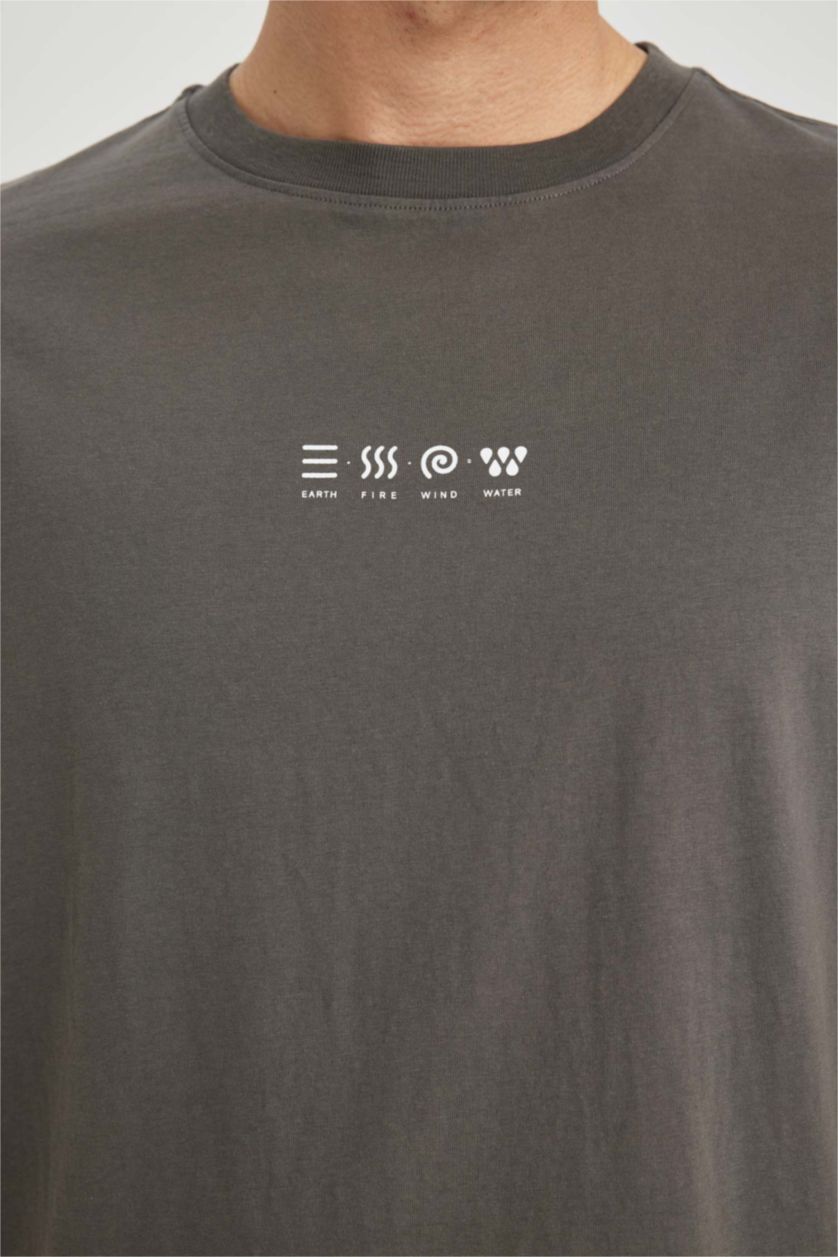 MAN Grey DeFacto x Wiser Wash Regular Fit Crew Neck Printed T-Shirt