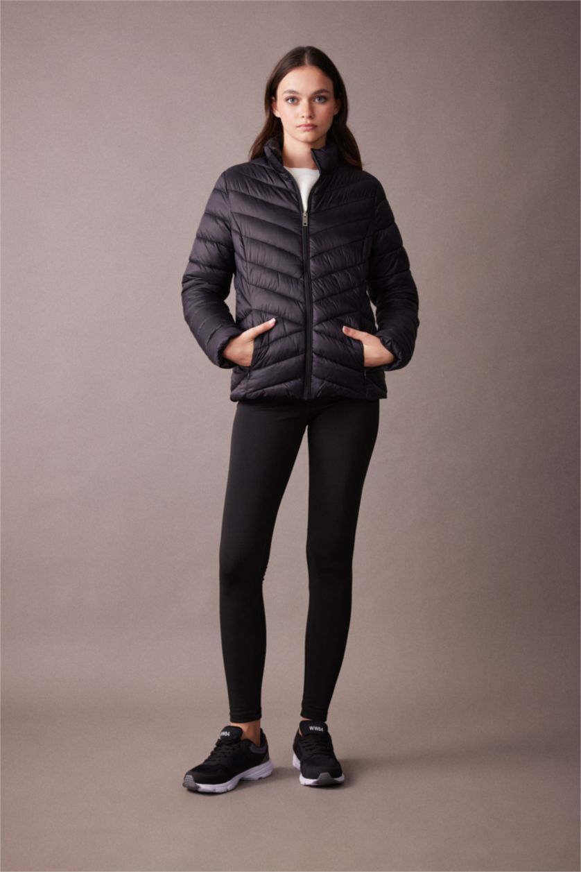 Женщины Черный Дутая куртка водоотталкивающая с воротником