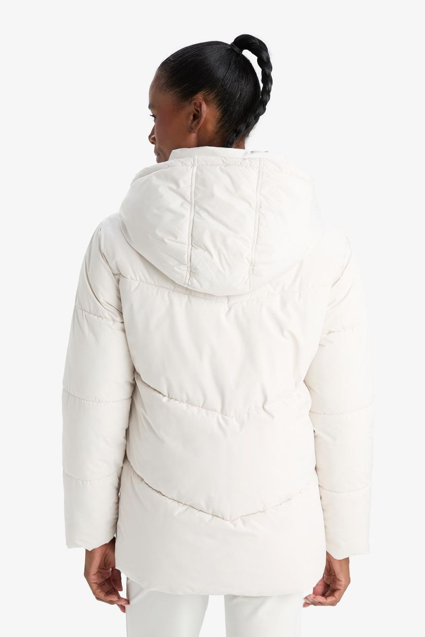 Kadın Taş Su İtici Regular Fit Yarım Polar Astarlı Kapüşonlu Fermuarlı Kışlık Mont