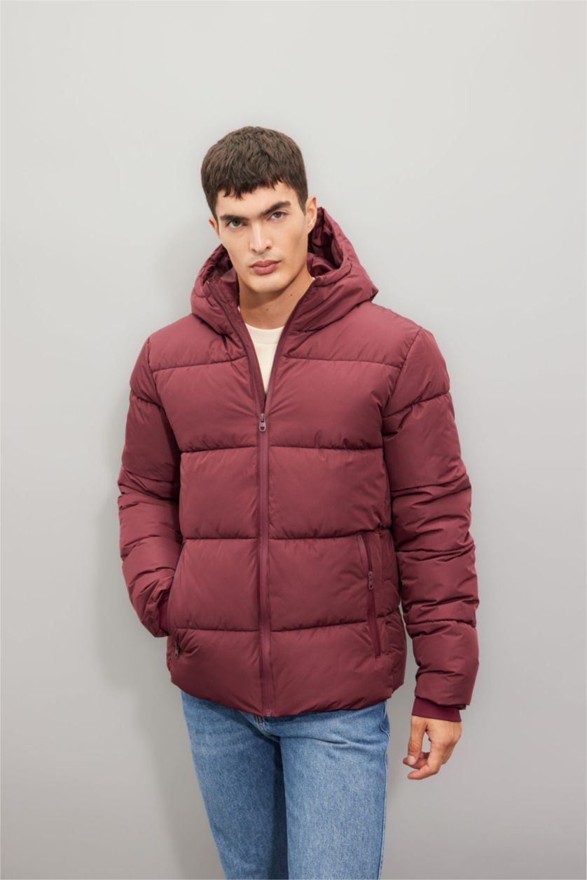 Man Bordeaux Regular Fit Puffer Jacket
