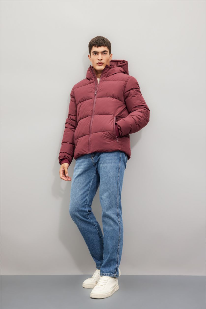 Man Bordeaux Regular Fit Puffer Jacket
