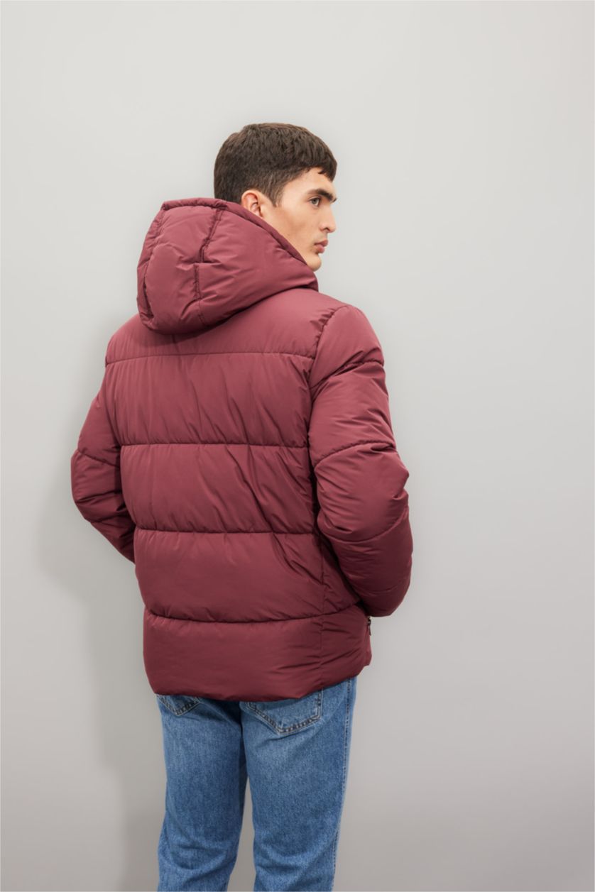 Man Bordeaux Regular Fit Puffer Jacket