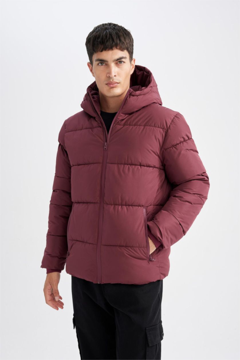 Man Bordeaux Regular Fit Puffer Jacket