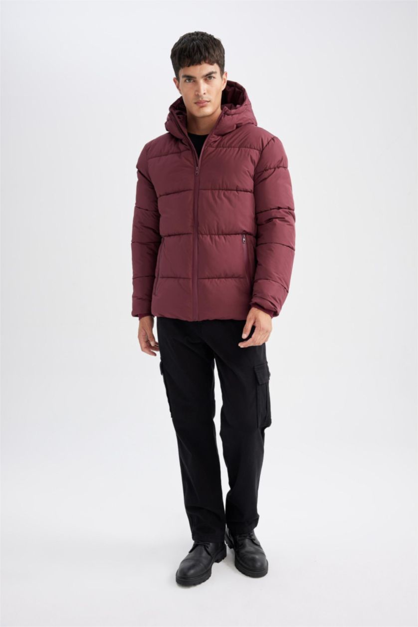 Man Bordeaux Regular Fit Puffer Jacket