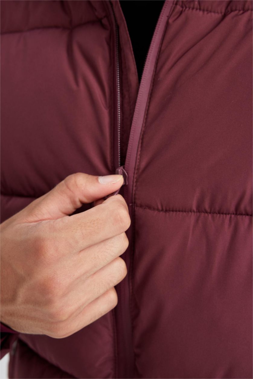 Man Bordeaux Regular Fit Puffer Jacket