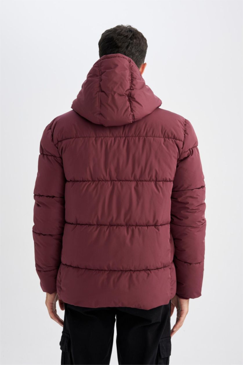 Man Bordeaux Regular Fit Puffer Jacket