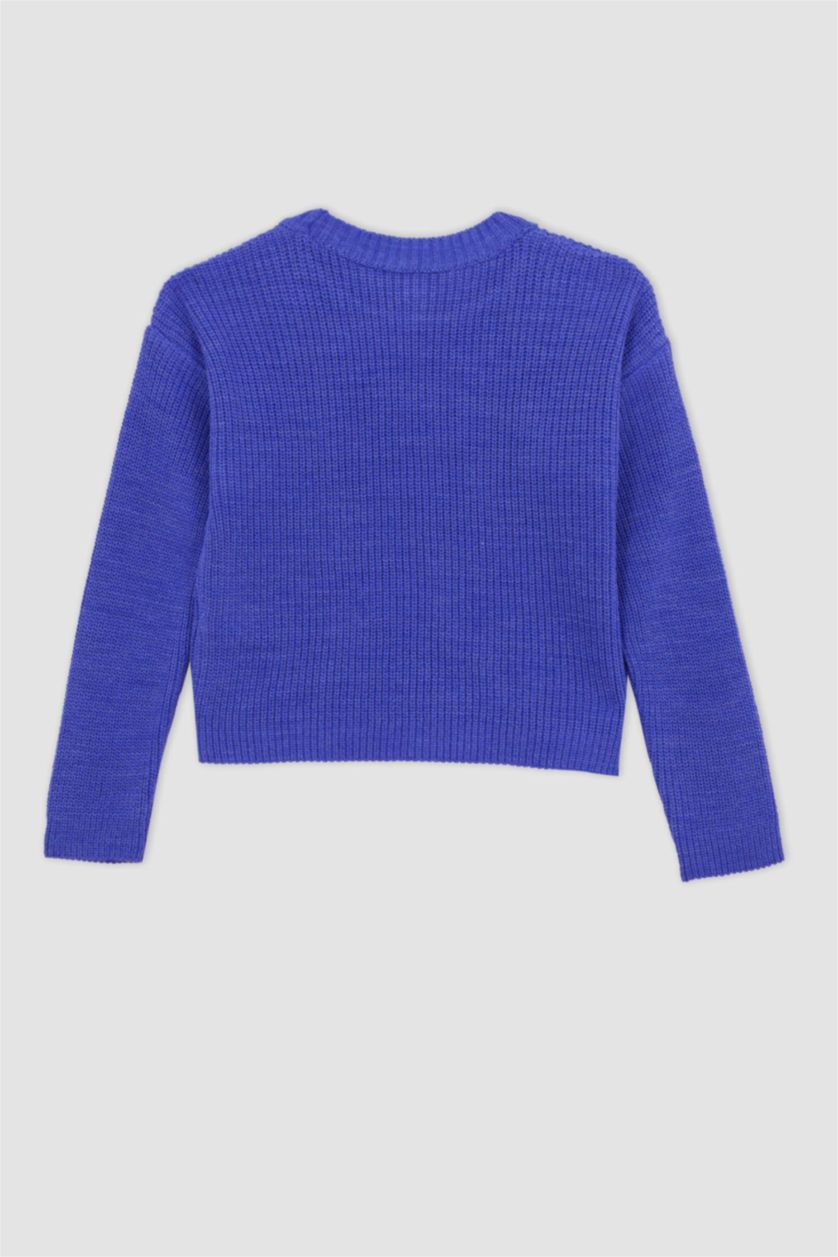 Девочки и подростки Фиолетовый Пуловер стандартного кроя с круглым вырезом для девочек