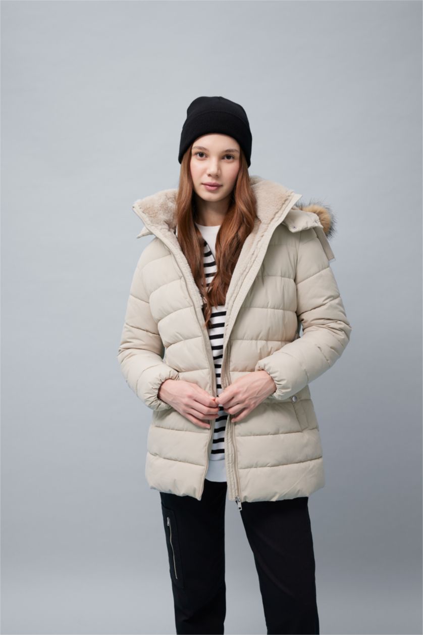 نساء بيج جاكيت دودون قصة عادية بغطاء للرأس