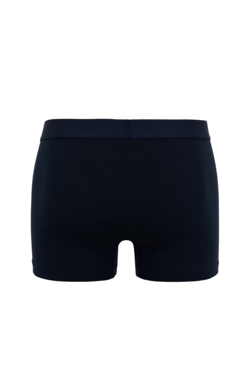 Erkek Lacivert Regular Fıt 2'li