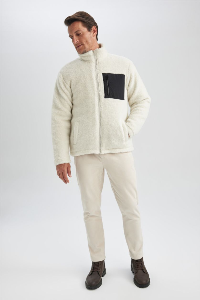 Erkek Taş Slim Fit Dar Kesim Dik Yaka Fermuarlı Cepli Pelüş Mont