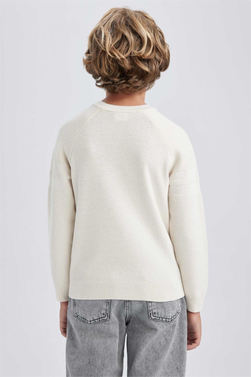 Мальчики и подростки Бежевый Свитер стандартного кроя для мальчиков, Школьная коллекция