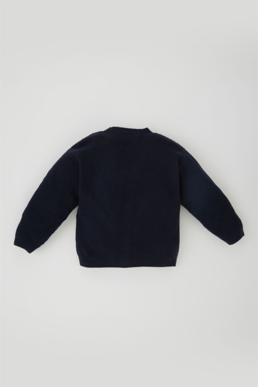 BABY BOY NAVY كارديجان قصة عادية